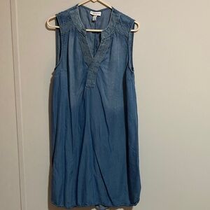 Liz Lange Maternity Sleeveless Denim Dress